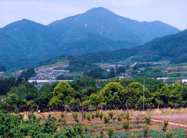 005土曽川大橋座光寺側.jpg