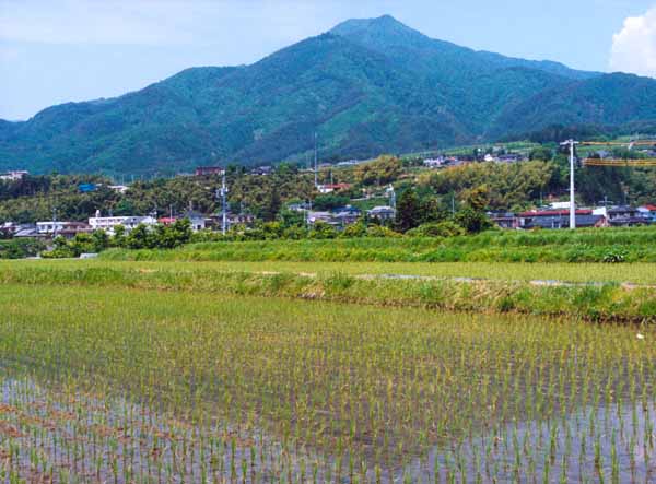 008下黒田原ノ城-原博司.jpg