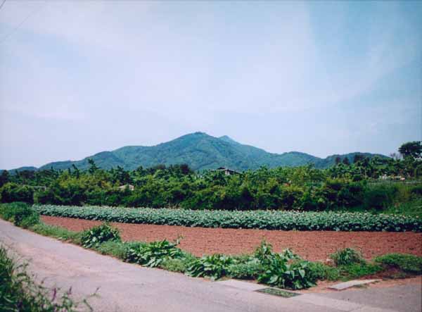 019宮の上岡田安弘.jpg