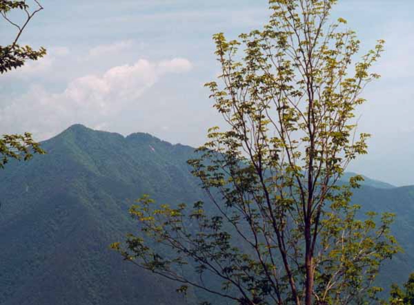 101笠松山山頂-近藤純治.jpg