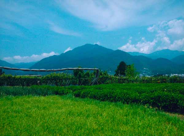 060鼎名古熊アピタ-寺沢未佳.jpg