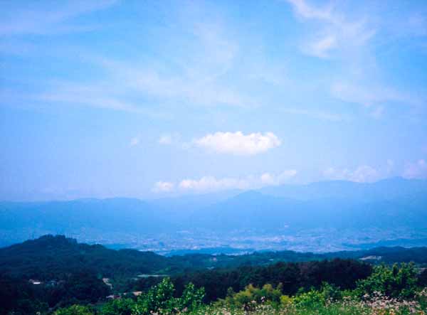 115木下重子上久堅三峰山麓-.jpg