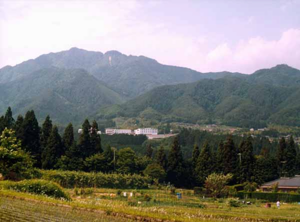 091桑原　北方大瀬木堺.jpg