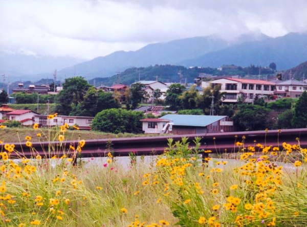 006塩沢光明　神稲明神橋.jpg