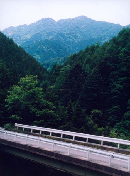 042安東忠幸　野底山蛙沼登口.jpg