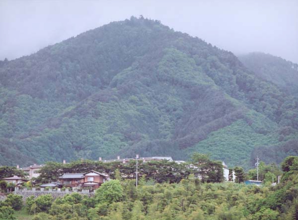 053蔦壁貞三宮の上大宮神社裏.jpg