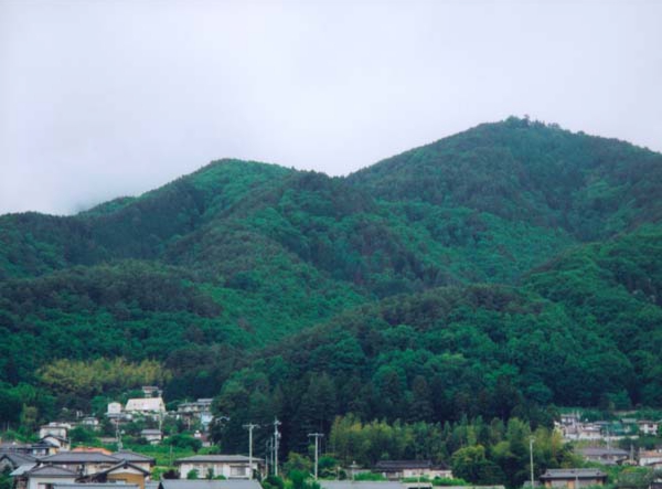 060藤田武彦丸山3風越タクシ.jpg