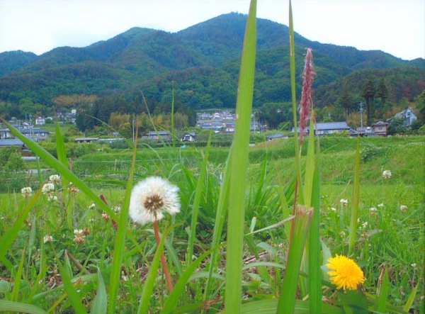 061熊谷東洋雄　丸山町3.jpg