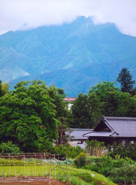 114原昭文　松尾城趾公園.jpg