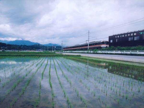 122木下浩　川路.jpg