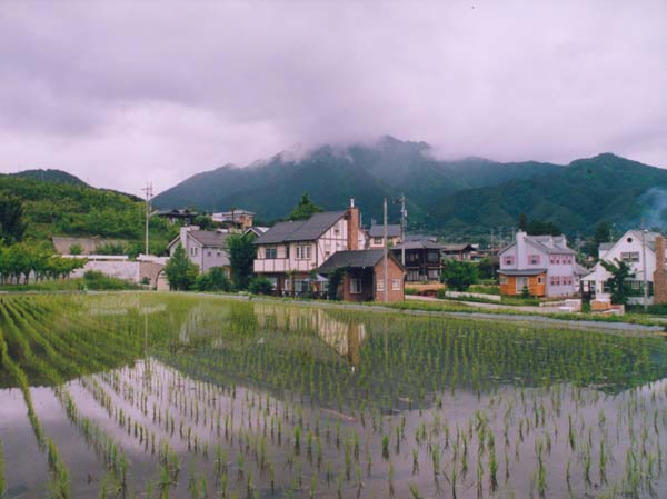 164沖田きよ子　北方.jpg