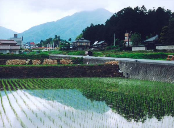 048川手柳路　上郷別府.jpg