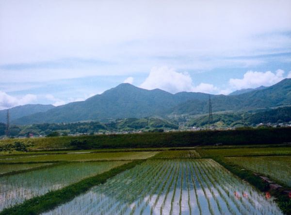 018秋山 繁　喬木村阿島.jpg