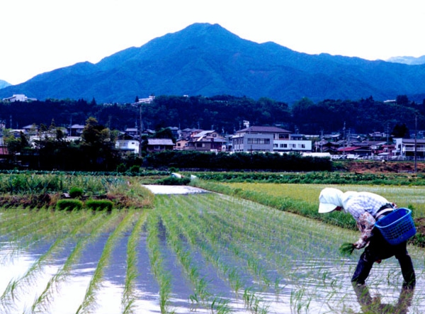 066大原文夫　上郷飯沼.jpg