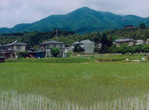 079小池豊一　大門町上の平.jpg