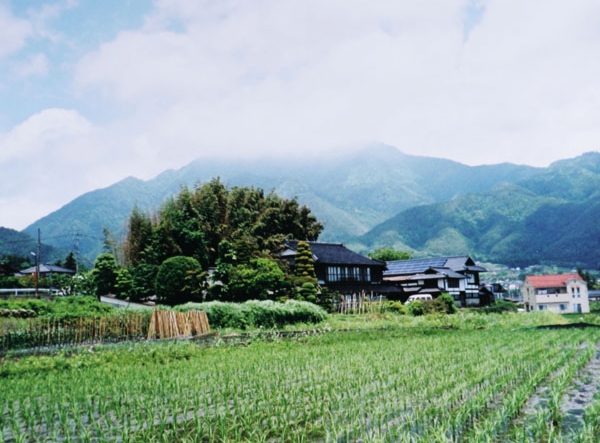 216福沢章夫　伊賀良 北方 山口.jpg