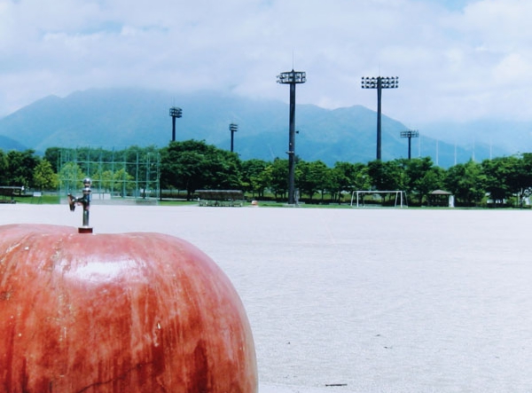 222林 博司　伊賀良 三日市場運動公園.jpg