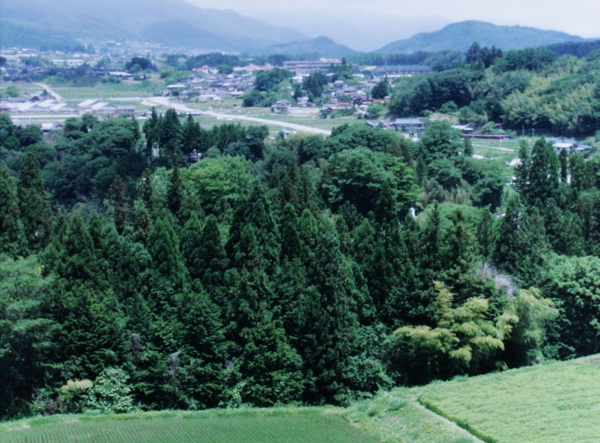 230佐々木敬叔　阿智村 備中原.jpg