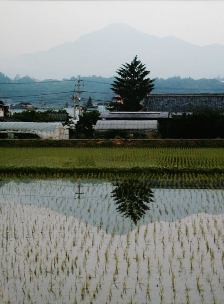 250岡田倫夫　上郷 飯沼.jpg