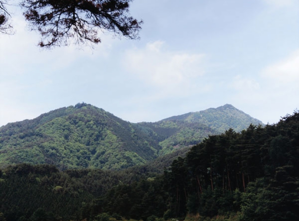 058鈴木和男　上郷野底山森林公園.jpg