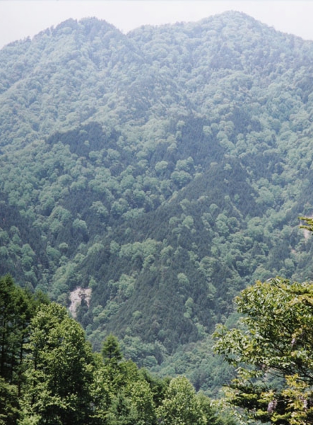 075沢柳吉朗　野底川.jpg