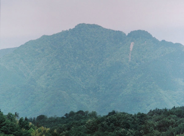 221米山賢昭　龍江桜街道.jpg