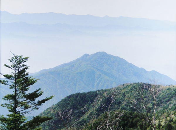 272中村賢太郎　摺古木山山頂.jpg