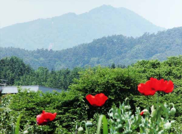 047山澤恵美子　座光寺.jpg