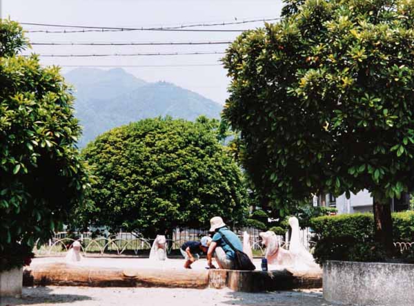 104北沢幸子　中央公園.jpg