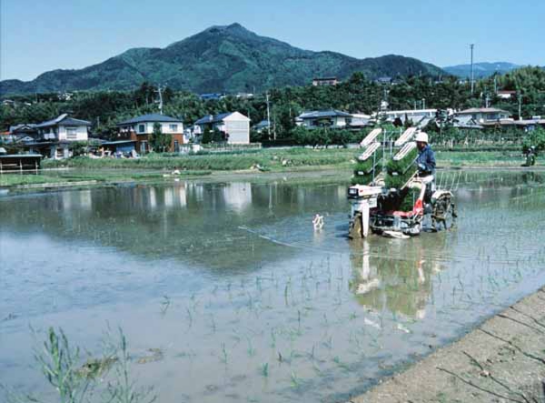 108小池豊一　宮の上御太子.jpg