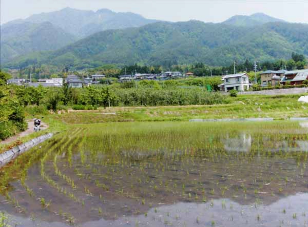 121原田明彦　羽場町.jpg