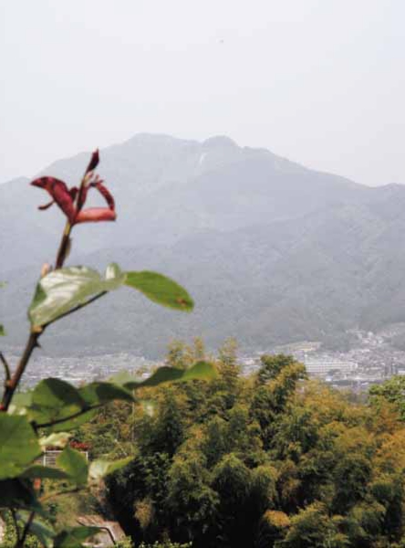 218小林一雄　鼎願王寺.jpg