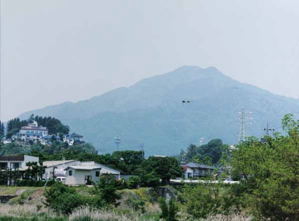 227菅原敏和　東鼎.jpg