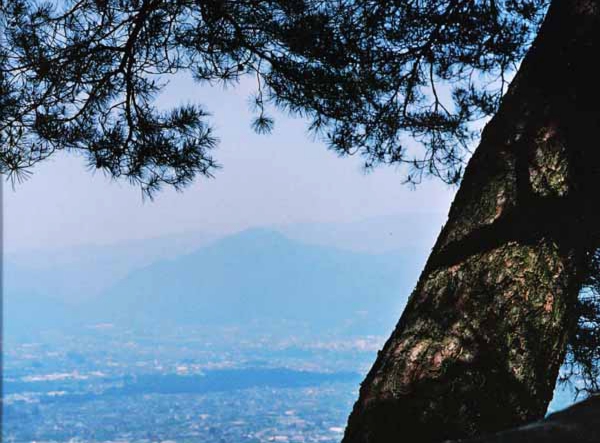 305島岡憲子　上久堅神ノ峰.jpg