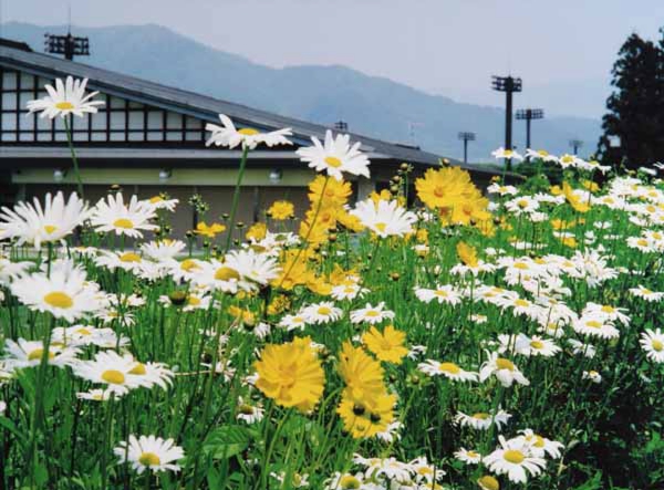 335田島明夫　運動公園弓道場.jpg