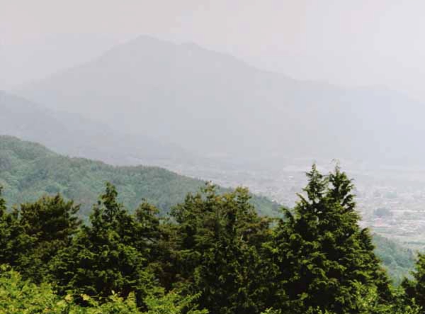 362林英寿　山本城山.jpg