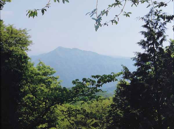 307山岸英夫　笠松山.jpg