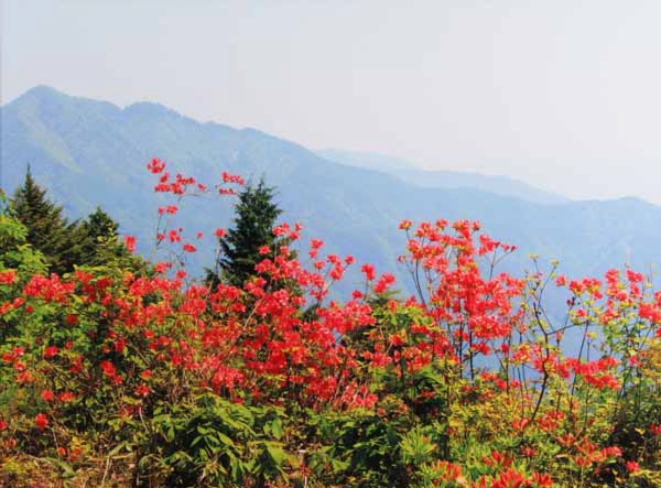 309木下善裕　笠松山.jpg