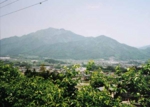 203菅沼君江　鼎上山.jpg