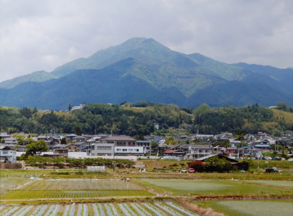 097杉本章弘.jpg