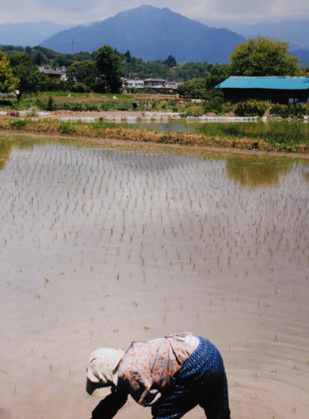 360矢花久慶.jpg