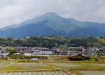 097杉本章弘.jpg