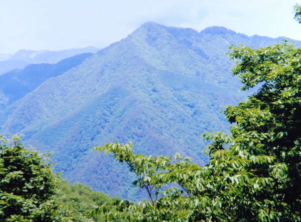 300原忠司　笠松山.jpg