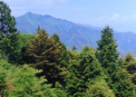 302 近藤純治　笠松山.jpg