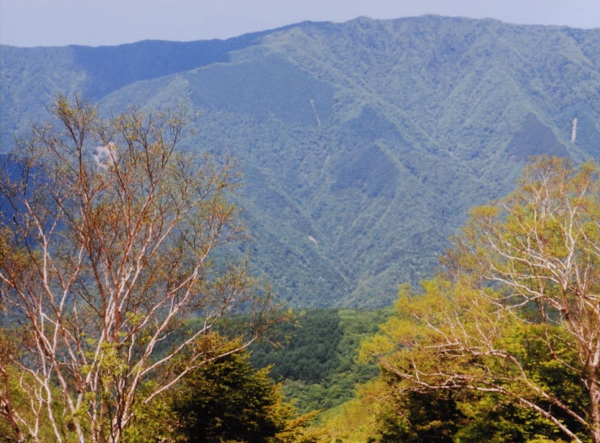 09-044筒井政美飯田市上村しらびそ高原.jpg