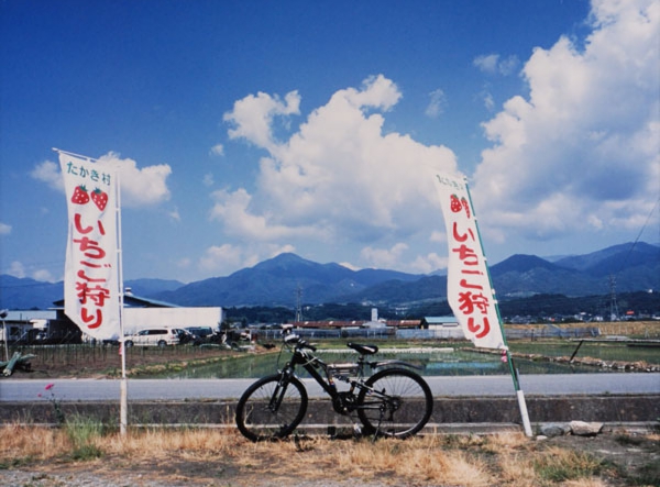 09-019原一阿島.jpg