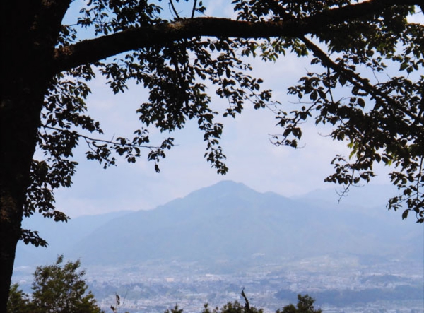 09-042筒井美智代喬木村富田城山公園.jpg