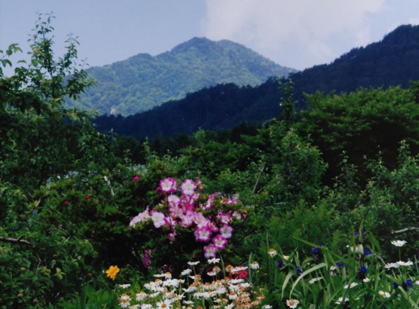 09-046山沢恵美子座光寺宮崎.jpg