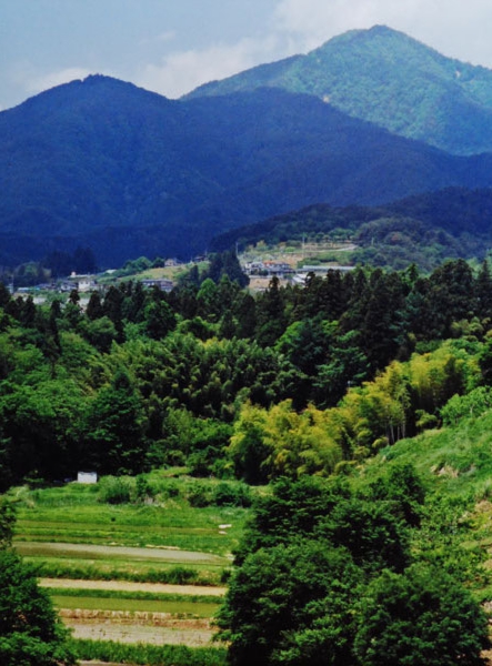 09-048橋都とみ子座光寺.jpg