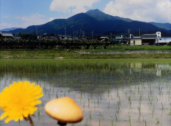 09-064福島広上郷黒田.jpg